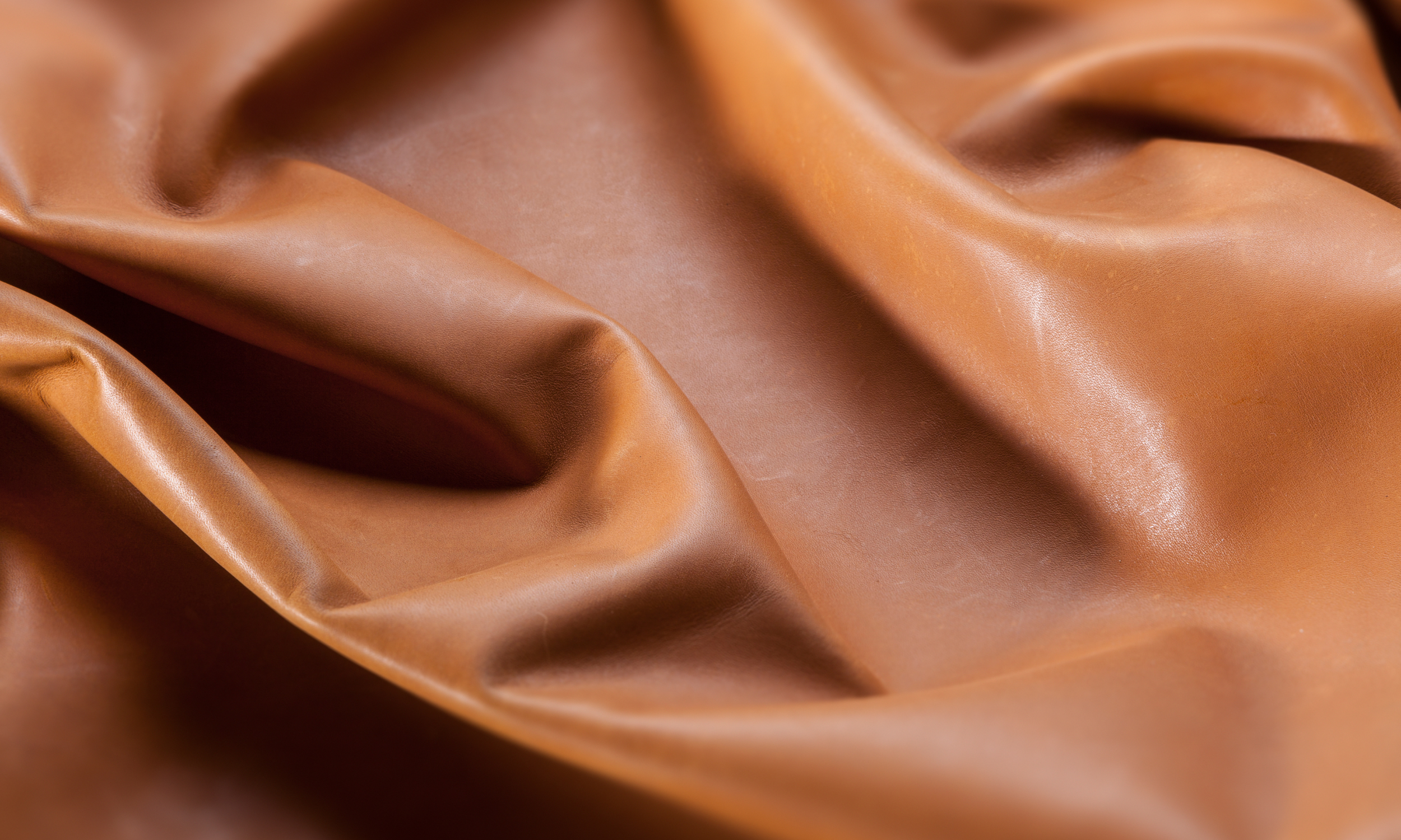 Das moderne Märchen vom "Veganem Leder"