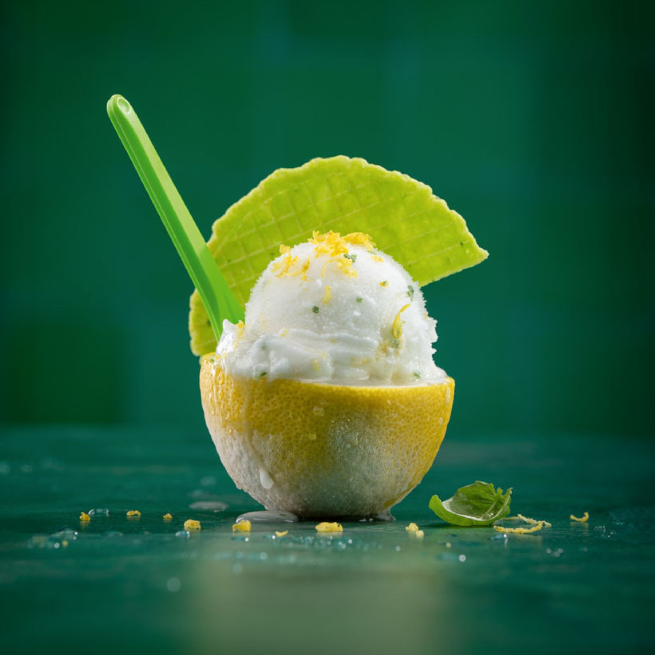 Book "Ice-Cream"